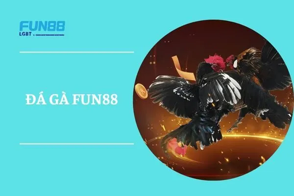 đá gà fun88